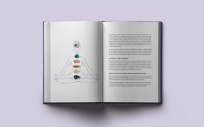 Large Case Study Crystalcode3