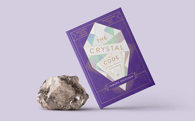Large Case Study Crystalcode4