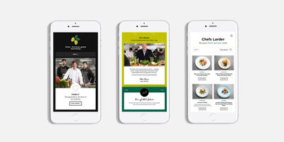 Website shown in small viewport on a smart phone