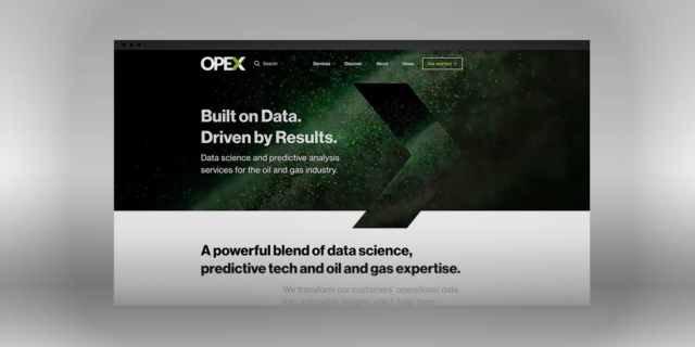 Opex Group Website Homepage